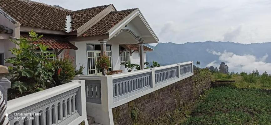 Good Karma Bromo Guesthouse Eksteriør bilde
