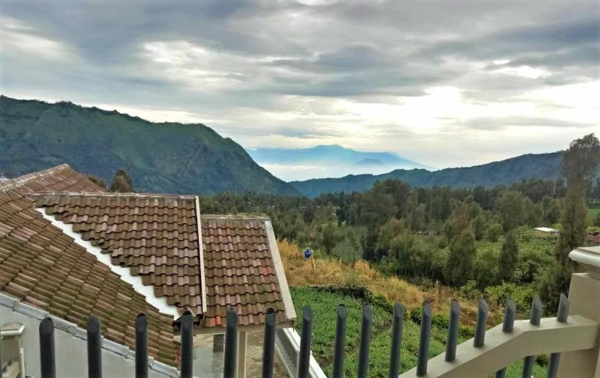 Good Karma Bromo Guesthouse Eksteriør bilde