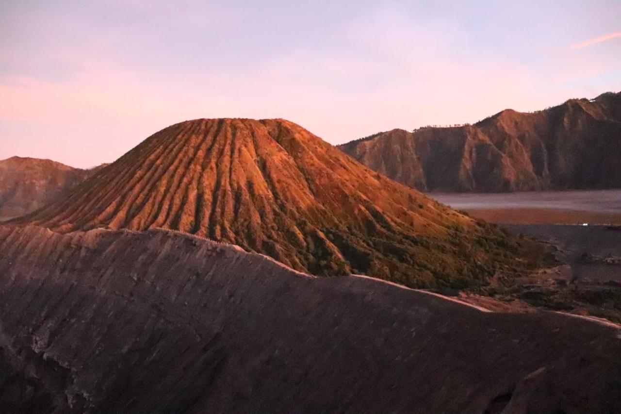 Good Karma Bromo Guesthouse Eksteriør bilde