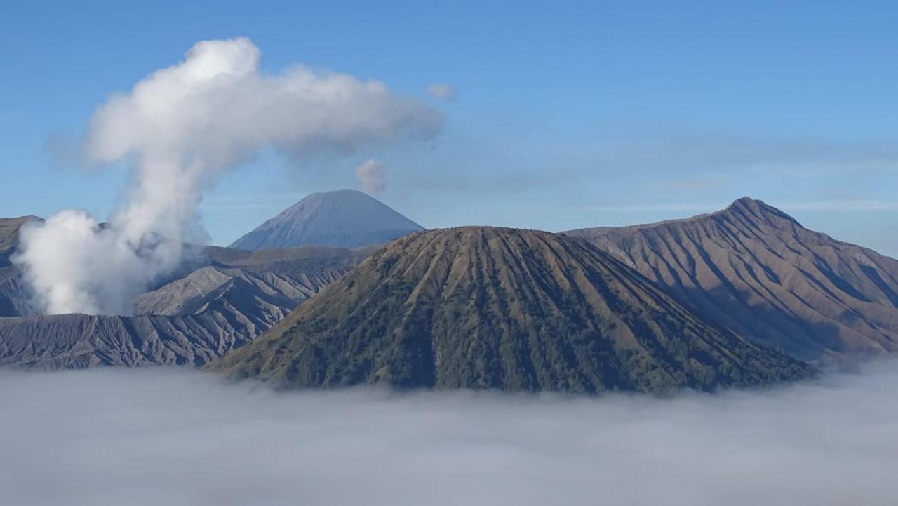 Good Karma Bromo Guesthouse Eksteriør bilde
